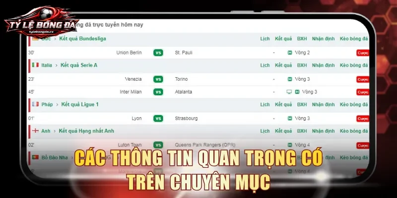 Các thông tin quan trọng có trên chuyên mục