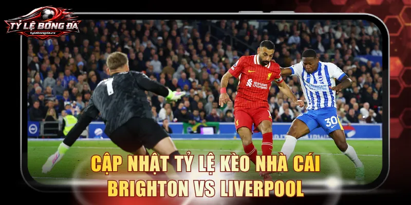 Cập nhật tỷ lệ kèo nhà cái Brighton vs Liverpool