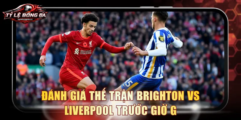 Đánh giá thế trận Brighton vs Liverpool trước giờ G