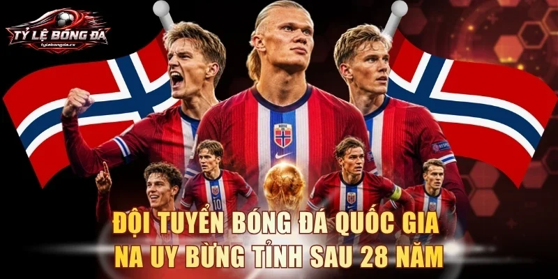 Đội tuyển bóng đá quốc gia Na Uy