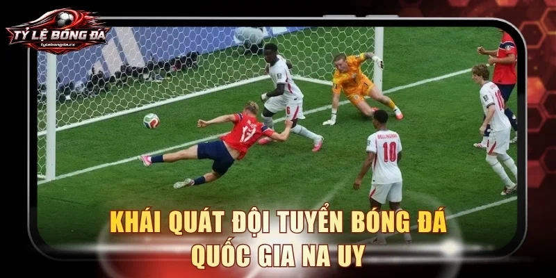 Khái quát đội tuyển bóng đá quốc gia Na Uy