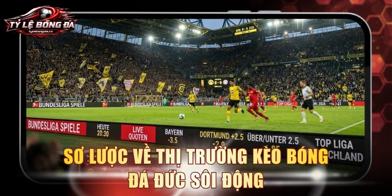 Sơ lược về thị trường kèo bóng đá Đức sôi động